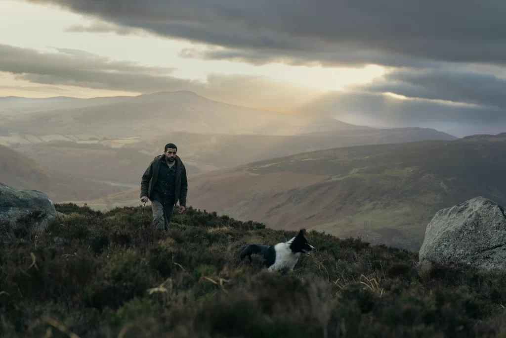 A man with his dog walk through hills and fields