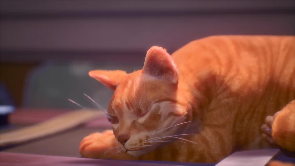 An orange cat sleeping